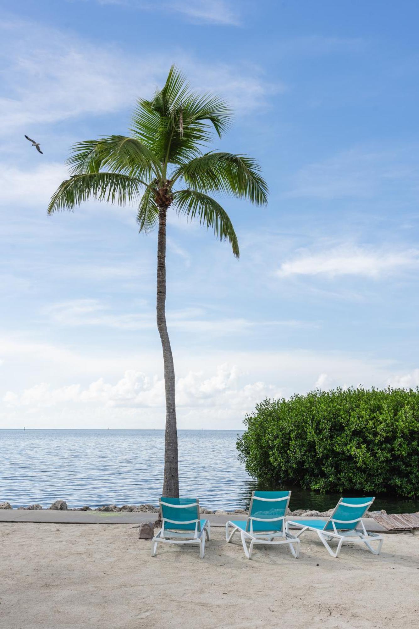Fisher Inn Resort & Marina Islamorada Kültér fotó
